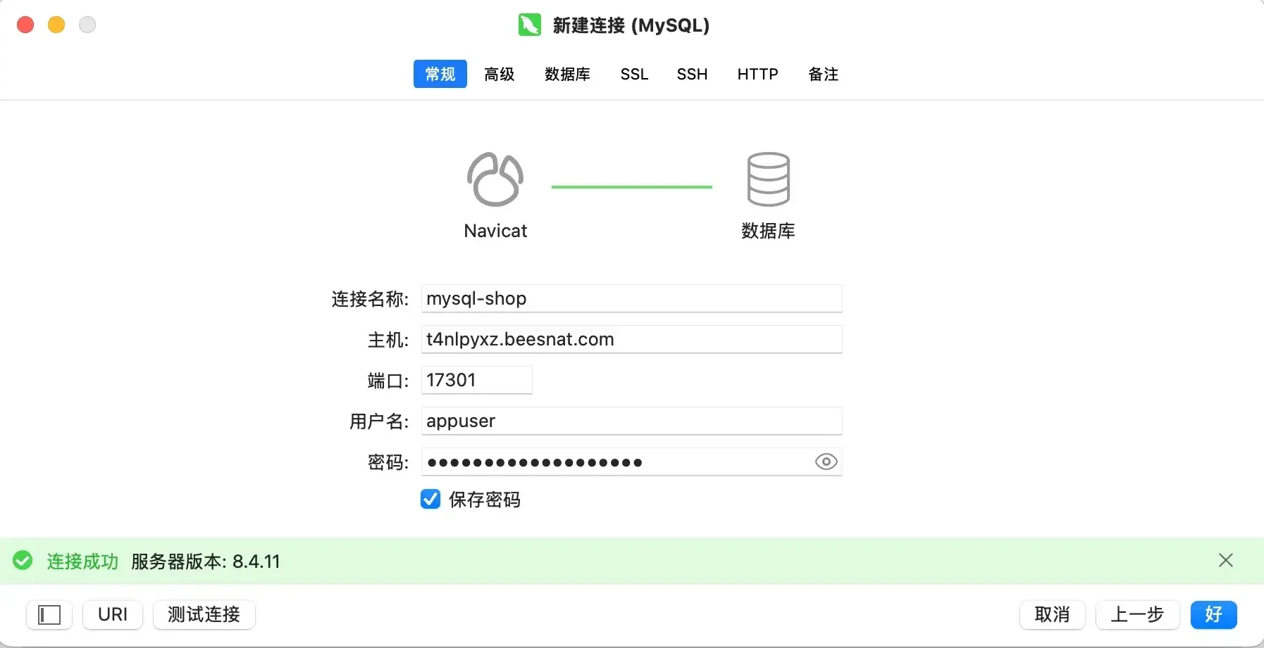 Navicat 新建连接窗口:主机填映射分配的域名、端口填分配到的端口、用户名 appuser,底部显示连接成功与服务器版本 8.4.11