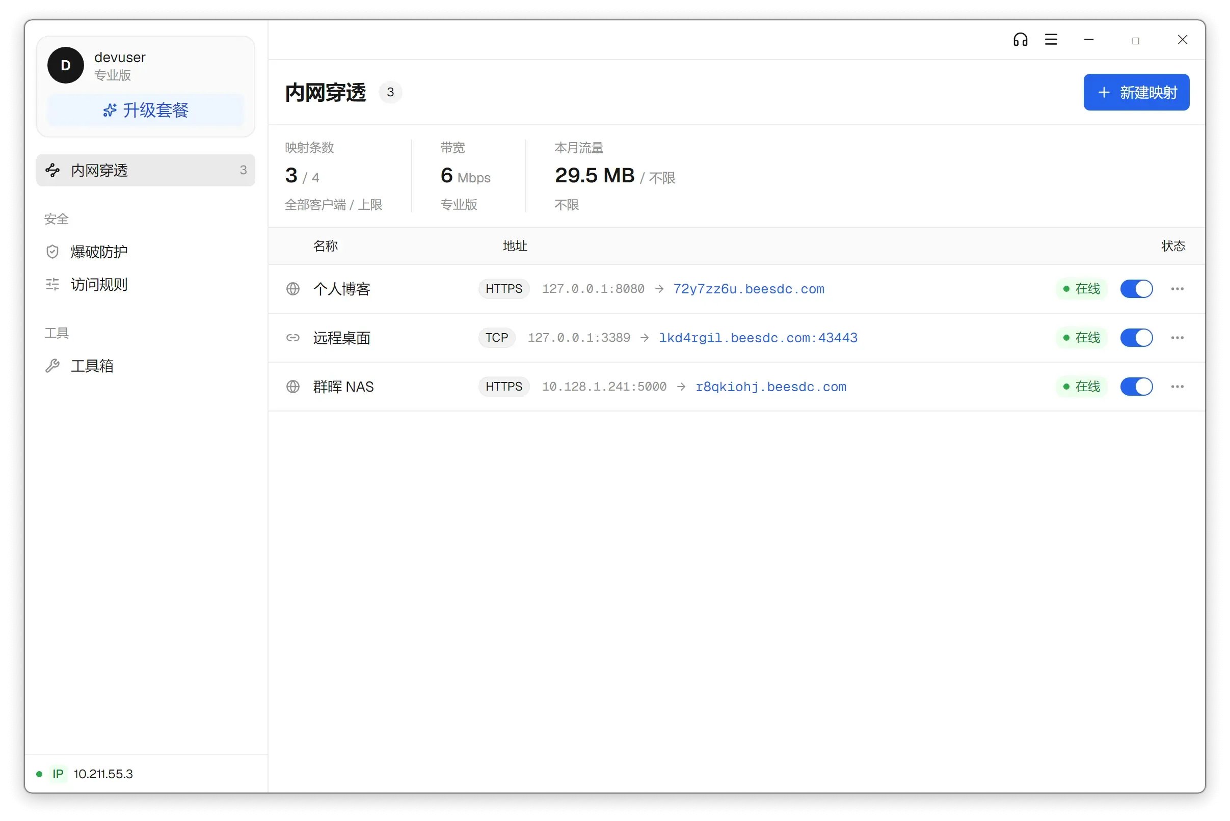 蜻蜓映射客户端界面:内网穿透映射列表,个人博客、远程桌面、群晖 NAS 三条映射均在线