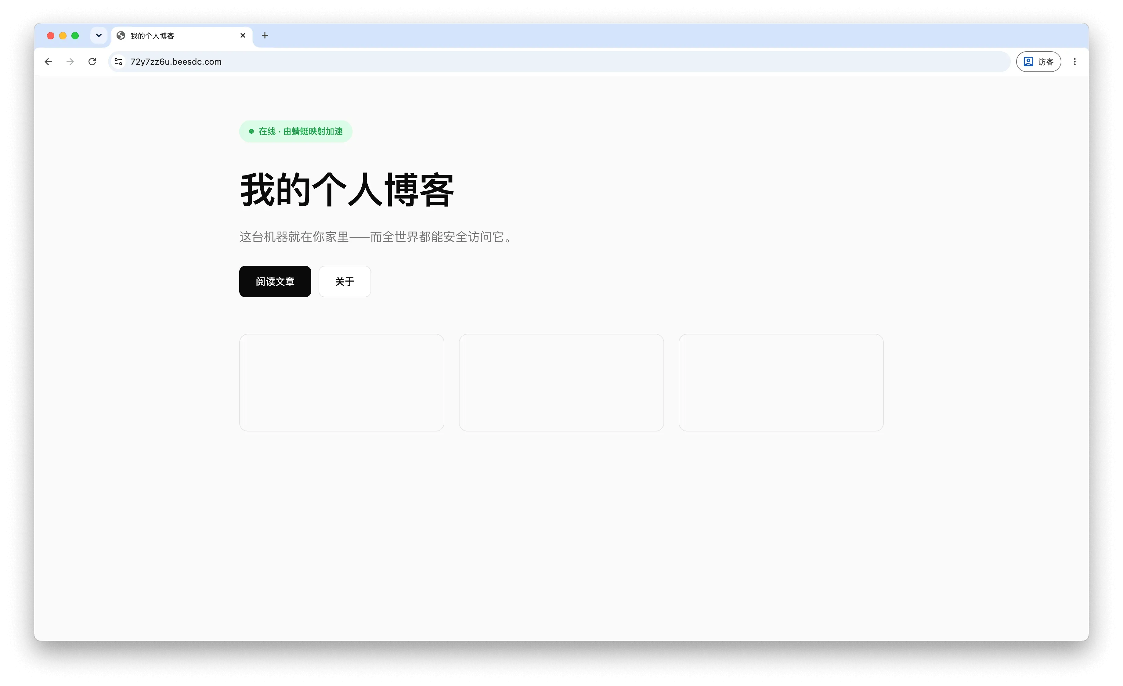 浏览器打开蜻蜓映射分配的 https 公网域名,本机 8080 端口的个人博客已在线可访问
